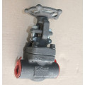 Forged steel globe valve